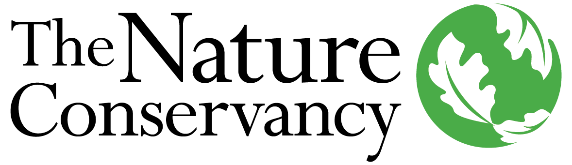 Client logo placeholder 12